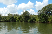 River Wallace